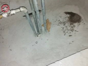 黄冈市卫生间测漏水价格明细