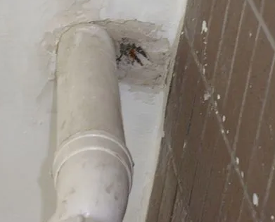 黄冈市漏水检测哪家好